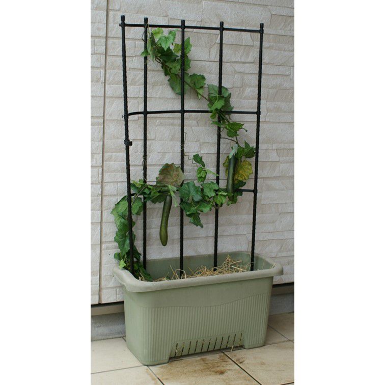 Easy Trellis - Japanese trellis  can support various types of vines